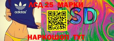 прущие грибы Сланцы