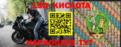 прущие грибы Сланцы