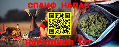 прущие грибы Сланцы