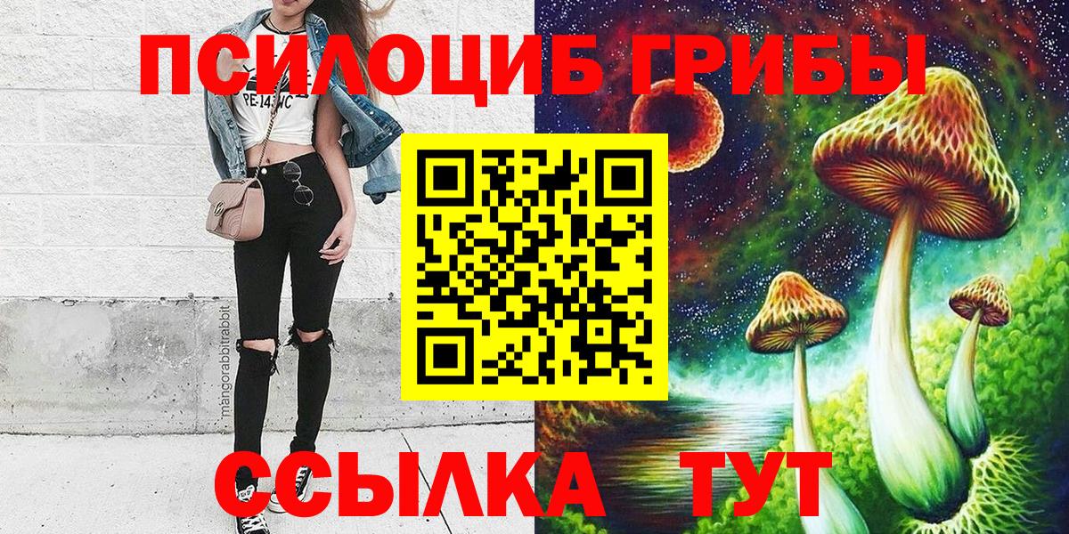 Псилоцибиновые грибы GOLDEN TEACHER  Вход с VPN  Нижний Новгород  Галлюциногенные грибы MAGIC MUSHROOMS 